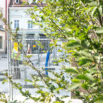 Zazieleni się ulica Grunwaldzka w Rzeszowie 6 - Polskie Radio Rzeszów Zazieleni się ulica Grunwaldzka w Rzeszowie - Polskie Radio Rzeszów