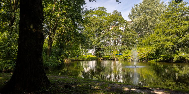 Fot. Grzegorz Bukała/UM Rzeszów