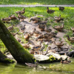 Rewitalizacja parku na rzeszowskiej Słocinie 4 - Polskie Radio Rzeszów Rewitalizacja parku na rzeszowskiej Słocinie - Polskie Radio Rzeszów