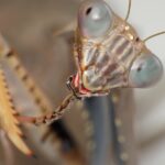 Zwierzomaniak 30.06 - Polskie Radio Rzeszów