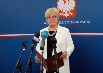 Rządowy program „Pierwszy dzienny opiekun w gminie”