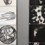 Sto razy siatka A.D. 2024 6 - Polskie Radio Rzeszów Sto razy siatka A.D. 2024 - Polskie Radio Rzeszów