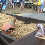 Gliniane wytwory królowały w Medyni Głogowskiej 12 - Polskie Radio Rzeszów Gliniane wytwory królowały w Medyni Głogowskiej - Polskie Radio Rzeszów