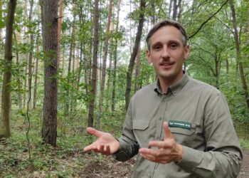 Zanocuj w&nbsp;podkarpackim lesie