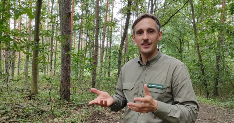 Zanocuj w podkarpackim lesie