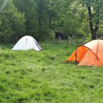 Cały świat w Chałupie Elektryków - Polskie Radio Rzeszów