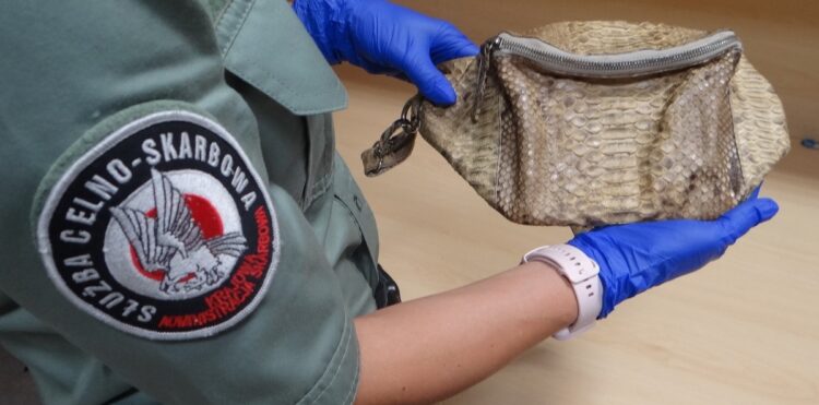 Torebka ze skóry węża na przejściu granicznym w Medyce