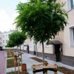 Rewitalizacja podwórek w Stalowej Woli 4 - Polskie Radio Rzeszów Rewitalizacja podwórek w Stalowej Woli - Polskie Radio Rzeszów