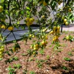 Rewitalizacja podwórek w Stalowej Woli 5 - Polskie Radio Rzeszów Rewitalizacja podwórek w Stalowej Woli - Polskie Radio Rzeszów