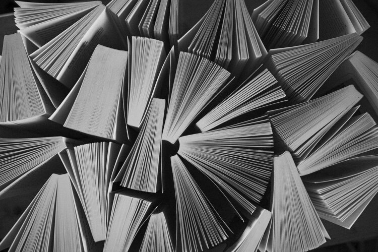 Słowa i słówka, czyli wędrówki z językiem polskim