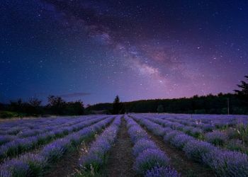 Nadchodzą noce spadających gwiazd