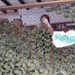 СКРИНЯ 21.07 - Polskie Radio Rzeszów