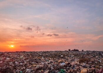 Ciała na&nbsp;wysypisku. Policja mówi o&nbsp;schwytaniu seryjnego mordercy