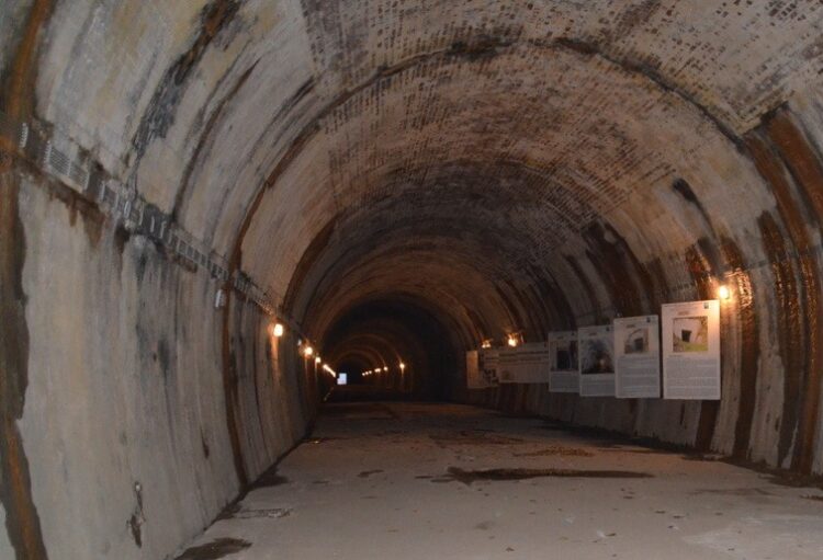 Nieczynny tunel pod Górą Żarnowską w Strzyżowie