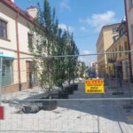 Zazieleni się ulica Grunwaldzka w Rzeszowie 9 - Polskie Radio Rzeszów Zazieleni się ulica Grunwaldzka w Rzeszowie - Polskie Radio Rzeszów