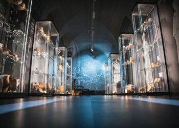 “Na pograniczu… Najstarsze dzieje ziemi jarosławskiej”