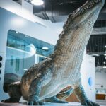 Radio Biwak eksperymentowało w Podkarpackim Centrum Nauki "Łukasiewicz" (fotogaleria) 4 - Polskie Radio Rzeszów Radio Biwak eksperymentowało w Podkarpackim Centrum Nauki "Łukasiewicz" (fotogaleria) - Polskie Radio Rzeszów