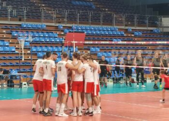 Siatkówka. Wygrany sparing Asseco Resovii