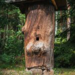 Radio Biwak zagląda do pszczelego ula (fotogaleria) 15 - Polskie Radio Rzeszów Radio Biwak zagląda do pszczelego ula (fotogaleria) - Polskie Radio Rzeszów