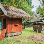 Radio Biwak zagląda do pszczelego ula (fotogaleria) 17 - Polskie Radio Rzeszów Radio Biwak zagląda do pszczelego ula (fotogaleria) - Polskie Radio Rzeszów