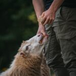 Radio Biwak zagląda do pszczelego ula (fotogaleria) 18 - Polskie Radio Rzeszów Radio Biwak zagląda do pszczelego ula (fotogaleria) - Polskie Radio Rzeszów