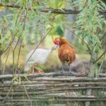 Radio Biwak zagląda do pszczelego ula (fotogaleria) 26 - Polskie Radio Rzeszów Radio Biwak zagląda do pszczelego ula (fotogaleria) - Polskie Radio Rzeszów