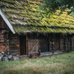 Radio Biwak zagląda do pszczelego ula (fotogaleria) 35 - Polskie Radio Rzeszów Radio Biwak zagląda do pszczelego ula (fotogaleria) - Polskie Radio Rzeszów