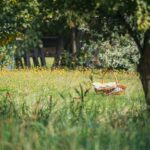 Radio Biwak zagląda do pszczelego ula (fotogaleria) 39 - Polskie Radio Rzeszów Radio Biwak zagląda do pszczelego ula (fotogaleria) - Polskie Radio Rzeszów