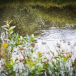 Radio Biwak zagląda do pszczelego ula (fotogaleria) 65 - Polskie Radio Rzeszów Radio Biwak zagląda do pszczelego ula (fotogaleria) - Polskie Radio Rzeszów