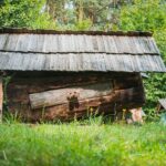 Radio Biwak zagląda do pszczelego ula (fotogaleria) 44 - Polskie Radio Rzeszów Radio Biwak zagląda do pszczelego ula (fotogaleria) - Polskie Radio Rzeszów