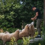 Radio Biwak zagląda do pszczelego ula (fotogaleria) 45 - Polskie Radio Rzeszów Radio Biwak zagląda do pszczelego ula (fotogaleria) - Polskie Radio Rzeszów