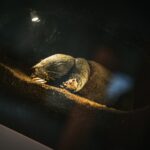 Radio Biwak eksperymentowało w Podkarpackim Centrum Nauki "Łukasiewicz" (fotogaleria) 73 - Polskie Radio Rzeszów Radio Biwak eksperymentowało w Podkarpackim Centrum Nauki "Łukasiewicz" (fotogaleria) - Polskie Radio Rzeszów