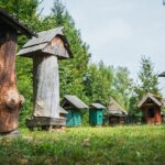 Radio Biwak zagląda do pszczelego ula (fotogaleria) 56 - Polskie Radio Rzeszów Radio Biwak zagląda do pszczelego ula (fotogaleria) - Polskie Radio Rzeszów