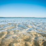 Radio Biwak biwakuje nad Jeziorem Tarnobrzeskim (fotogaleria) - Polskie Radio Rzeszów