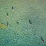 Radio Biwak drugi dzień biwakowało nad Jeziorem Tarnobrzeskim (fotogaleria) 43 - Polskie Radio Rzeszów Radio Biwak drugi dzień biwakowało nad Jeziorem Tarnobrzeskim (fotogaleria) - Polskie Radio Rzeszów