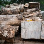 Radio Biwak wspięło się na szczyt Holicy (zdjęcia) 5 - Polskie Radio Rzeszów Radio Biwak wspięło się na szczyt Holicy (zdjęcia) - Polskie Radio Rzeszów