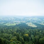 Radio Biwak wspięło się na szczyt Holicy (zdjęcia) 85 - Polskie Radio Rzeszów Radio Biwak wspięło się na szczyt Holicy (zdjęcia) - Polskie Radio Rzeszów