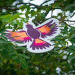 Radio Biwak zajechało do Krosna (fotogaleria) 39 - Polskie Radio Rzeszów Radio Biwak zajechało do Krosna (fotogaleria) - Polskie Radio Rzeszów