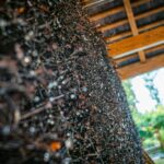 Radio Biwak odwiedziło Pruchnik (fotogaleria) 13 - Polskie Radio Rzeszów Radio Biwak odwiedziło Pruchnik (fotogaleria) - Polskie Radio Rzeszów