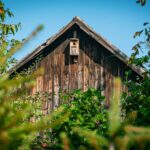 Radio Biwak odwiedziło Pruchnik (fotogaleria) 38 - Polskie Radio Rzeszów Radio Biwak odwiedziło Pruchnik (fotogaleria) - Polskie Radio Rzeszów