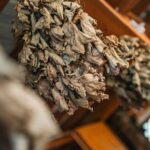 Radio Biwak zaparkowało w Harcie (fotogaleria) - Polskie Radio Rzeszów