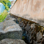 W Radiu Biwak dziś opowieści o Rzeszowie. Zamek Lubomirskich (zdjęcia) - Polskie Radio Rzeszów