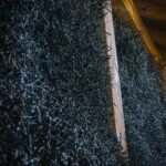 Radio Biwak z „Przystanku Kwiatowa” w Jaśle (fotogaleria) 48 - Polskie Radio Rzeszów Radio Biwak z „Przystanku Kwiatowa” w Jaśle (fotogaleria) - Polskie Radio Rzeszów