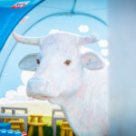 Radio Biwak gościło w Rudawce Rymanowskiej (fotogaleria) - Polskie Radio Rzeszów