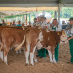 Radio Biwak gościło w Rudawce Rymanowskiej (fotogaleria) - Polskie Radio Rzeszów