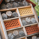 Radio Biwak w Czarnej w Bieszczadach (fotogaleria) 53 - Polskie Radio Rzeszów Radio Biwak w Czarnej w Bieszczadach (fotogaleria) - Polskie Radio Rzeszów