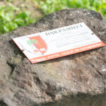 Radio Biwak w Czarnej w Bieszczadach (fotogaleria) 55 - Polskie Radio Rzeszów Radio Biwak w Czarnej w Bieszczadach (fotogaleria) - Polskie Radio Rzeszów