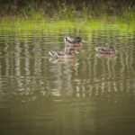 Radio Biwak odwiedziło sanocki Skansen (fotogaleria) - Polskie Radio Rzeszów