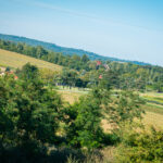 Radio Biwak dotarło do fortu "Duńkowiczki" (fotogaleria) 11 - Polskie Radio Rzeszów Radio Biwak dotarło do fortu "Duńkowiczki" (fotogaleria) - Polskie Radio Rzeszów