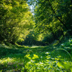 Radio Biwak dotarło do fortu "Duńkowiczki" (fotogaleria) 54 - Polskie Radio Rzeszów Radio Biwak dotarło do fortu "Duńkowiczki" (fotogaleria) - Polskie Radio Rzeszów